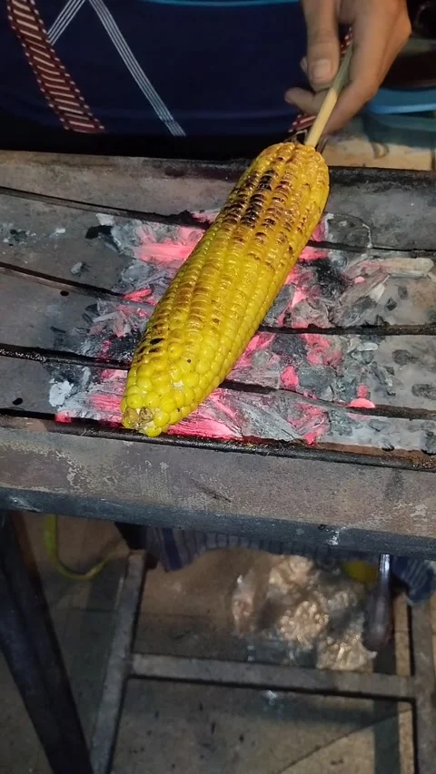Roasted corn Stock Footage 290854786