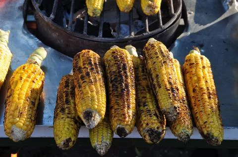Roasted corn Stock Photos