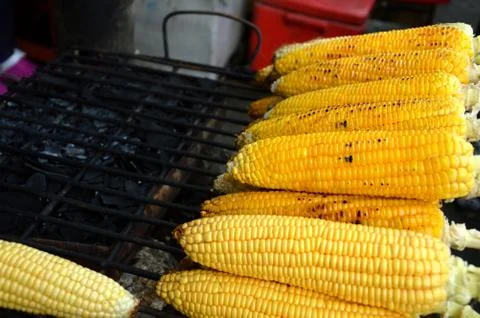 Roasted corn 库存照片