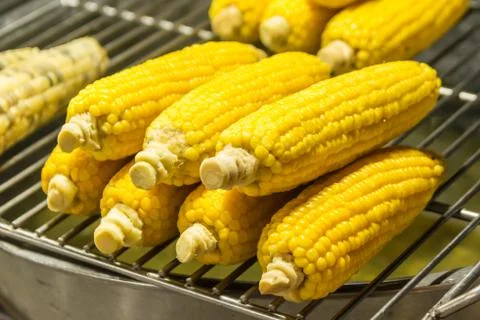 Roasted corn Stock Photos
