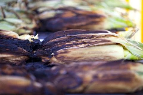 Roasted corn Stock Photos