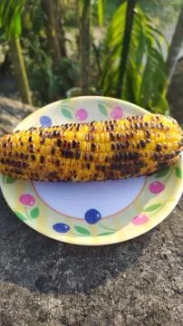 Roasted corn Stock Photos