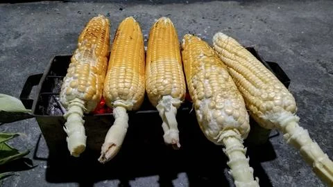 Roasted corn Stock Photos