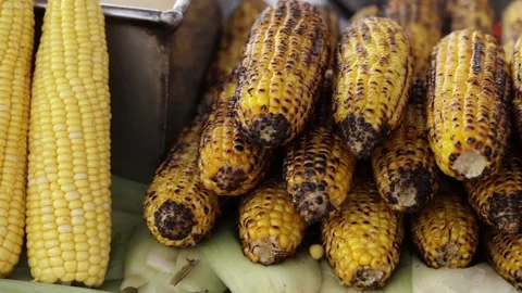 Roasted corn on the streets of Istanbul.FullHD.8sec Stock Footage 320068316