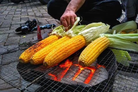 Roasted corn while camping Stock-Fotos