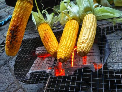 Roasted corn while camping Stock-Fotos