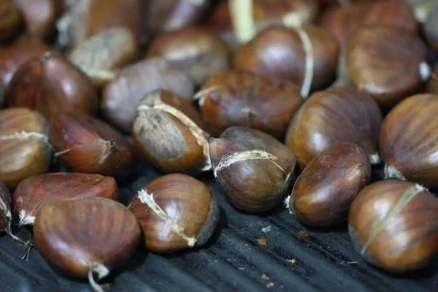 Roasted cracked chestnuts Stock Photos