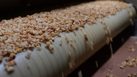 Roasted crushed peanuts move along a conveyor belt. Stock Footage 277923157