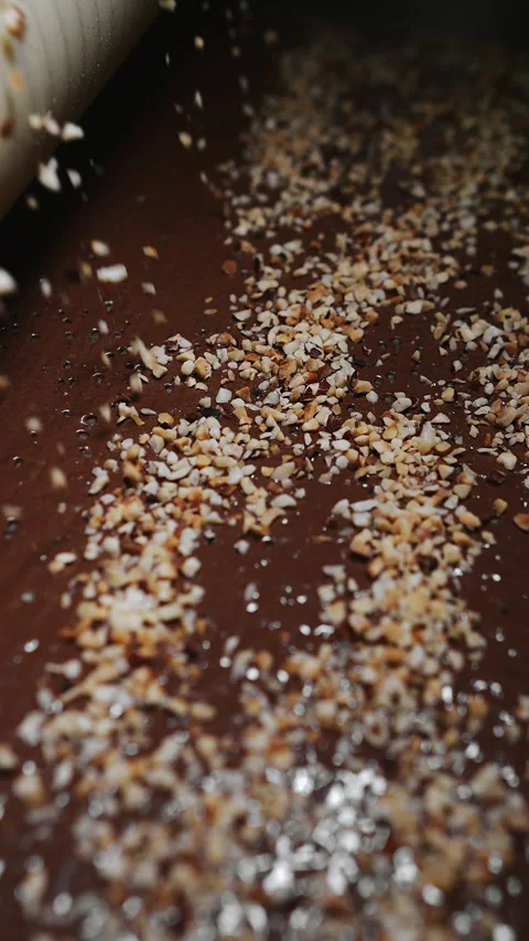 Roasted crushed peanuts move along a conveyor belt. Stock Footage 313515257