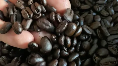 Roasted Dark Coffee Beans Rich Aromatic Coffee Ingredient Stock Footage 342583550