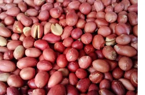 Roasted delicious red peanuts Stock Photos