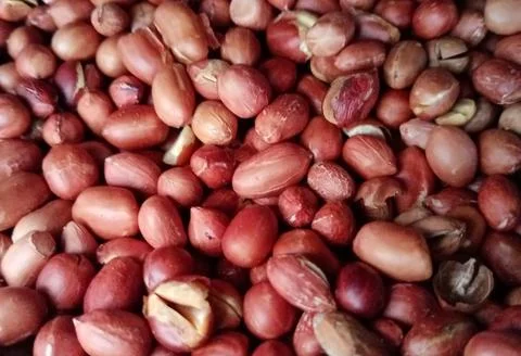 Roasted delicious red peanuts Stock Photos