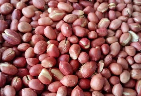 Roasted delicious red peanuts Stock Photos