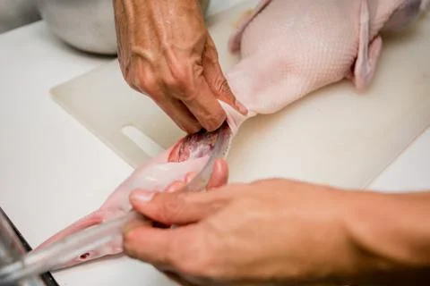 Roasted duck, gill duck, Chinese food Stock Photos