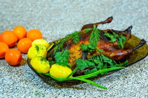 Roasted duck Stock Photos