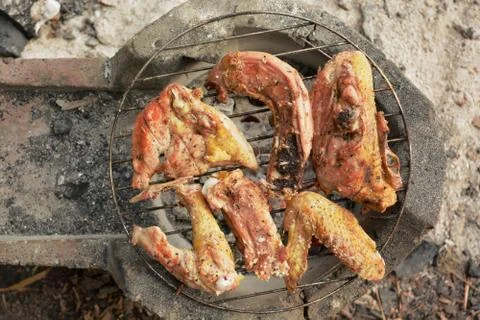 Roasted duck. Stock Photos