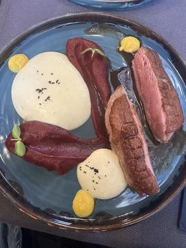 Roasted duck with puree and beetroot Stock Photos