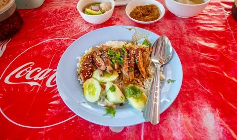 Roasted duck with rice Stock Photos