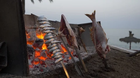 Roasted fish in front of the fire Stock Footage 112744121
