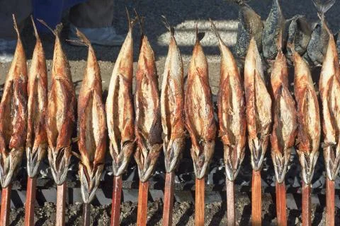Roasted fish on a stick Stock Photos