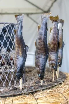Roasted fish on a sticks around heating coal. Stock Photos