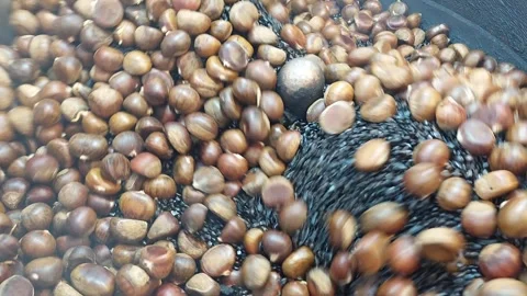Roasted gourd seeds6 1 Stock Footage 276223345