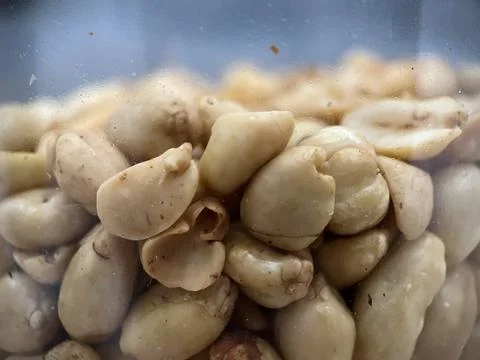 Roasted ground peanuts inside a plastic jar Stock Photos