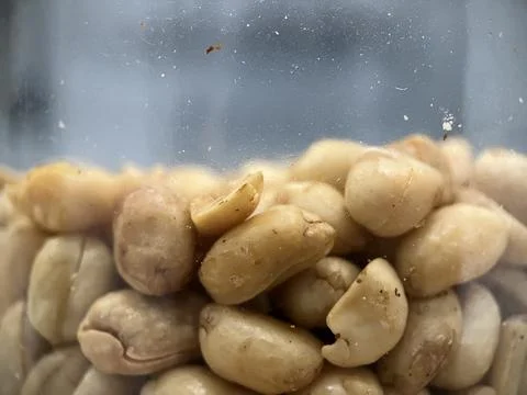 Roasted ground peanuts inside a plastic jar Stock Photos