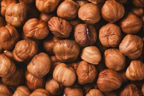 Roasted hazelnuts background top view Stock Photos