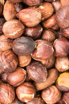 Roasted Hazelnuts Stock Photos