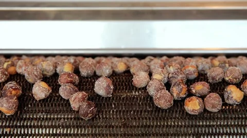 Roasted hazelnuts on the roasting machine conveyor belt. Stock Footage 143995050