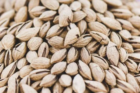 Roasted inshell almonds close up Stock Photos