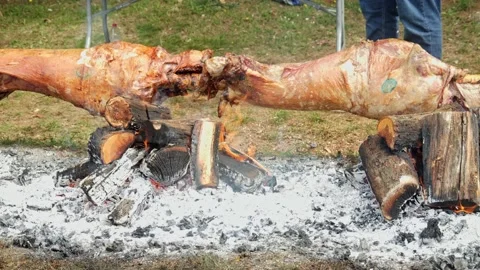 Roasted lamb and pig revolve on large wooden spit over open wood fired BBQ Stock Footage 193366985