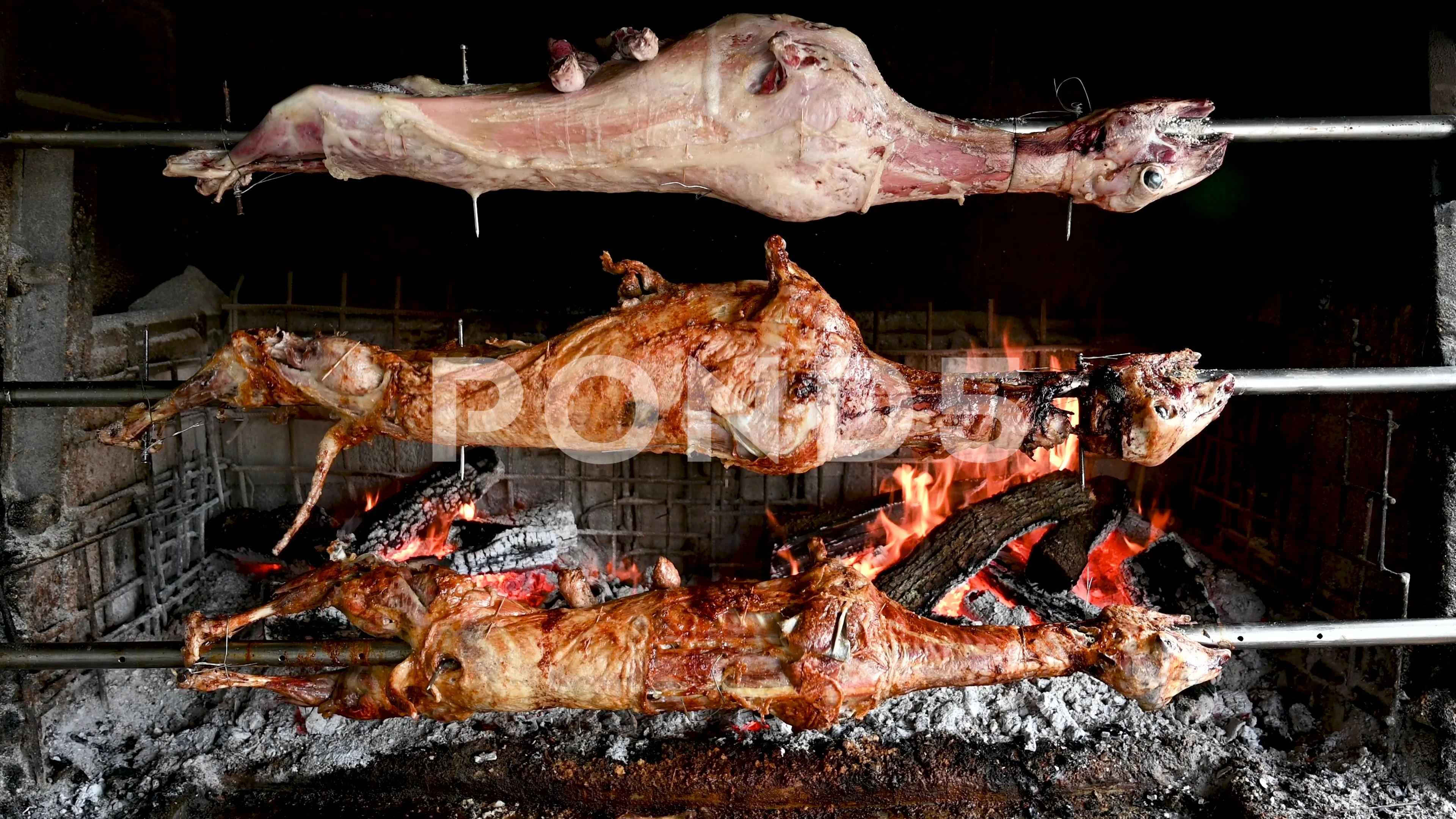 Roasted lamb. Sheep on a spit above fire... | Stock Video | Pond5