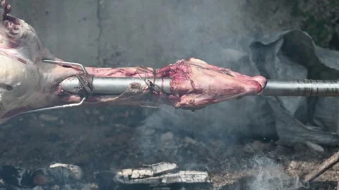 Roasted lamb. Sheep on a spit above fire in nature. Roasted meat. Stock Footage 284383269