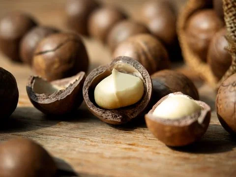 Roasted macadamia nut. Stock Photos