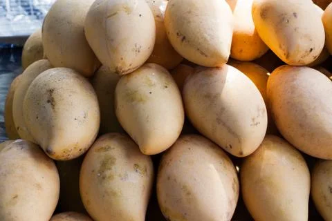 Roasted mango stacked in layers. Stock Photos