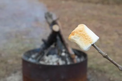 Roasted Marshmallow with Campfire in Background Stock Photos