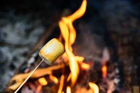 Roasted marshmallow on fire Stock Photos