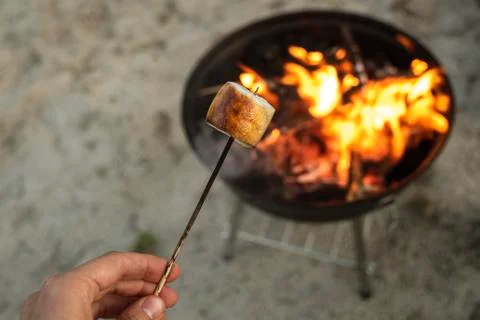 Roasted marshmallow on fire Stock Photos