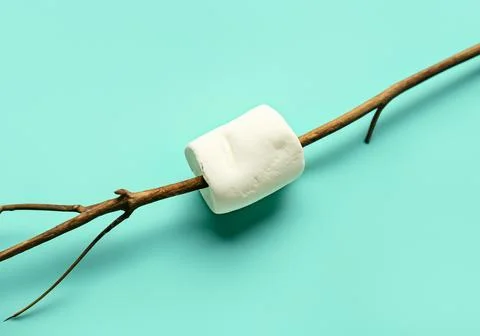 Roasted Marshmallow on Twig Stock Photos