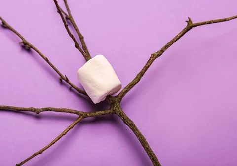 Roasted Marshmallow on Twig Stock Photos