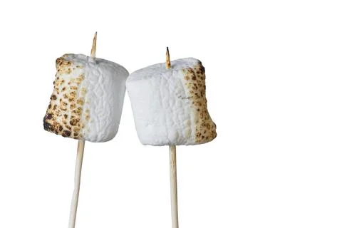 Roasted Marshmallows on a stick Stock Photos