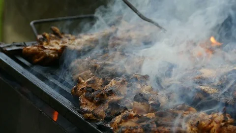 Roasted Meat On Barbecue Stock-Footage 96224606