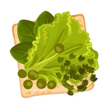 Roasted Multigrain Bread with Lettuce and Spinach Vector Illustration 스톡 일러스트