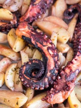 Roasted octopus with potatoes Stock Photos