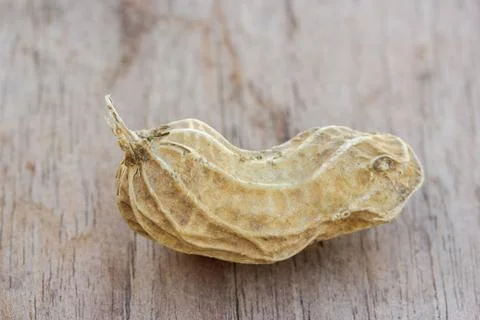 Roasted or row peanuts scattered on rustic, dark wood table background. Foto stock