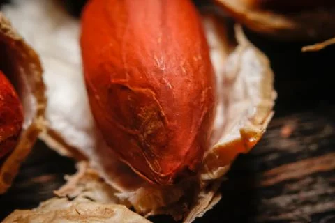 Roasted peanut in shell and peeled Stock Photos