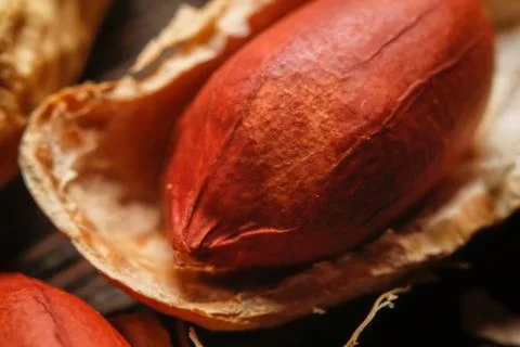 Roasted peanut in shell and peeled Stock Photos