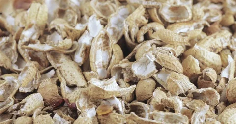 Roasted peanut shells Stock Footage 105856780